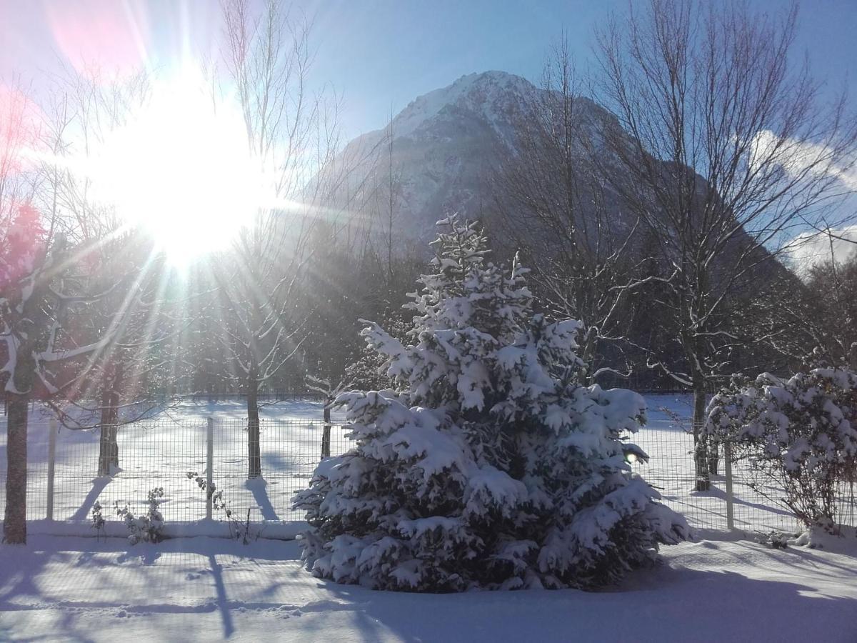 Chalet De L'Oisans أليمونت المظهر الخارجي الصورة